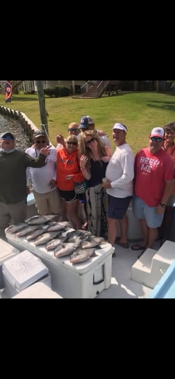 Fishing in Orange Beach, Alabama