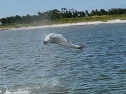 Fishing in Apalachicola, Florida