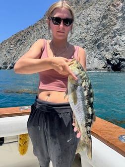 Fishing in Long Beach, California