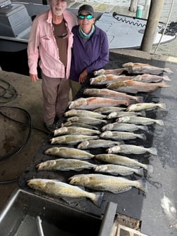 Fishing in Lafitte, Louisiana
