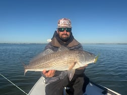 Fishing in St. Petersburg, Florida