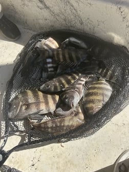 Fishing in St. Augustine, Florida