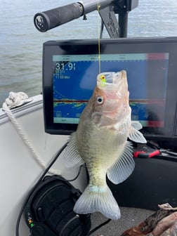 Fishing in Willis, Texas
