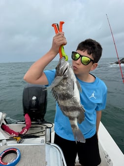 Fishing in Gulf Shores, Alabama