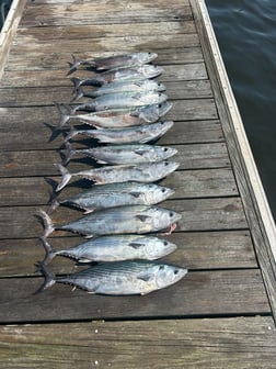 Fishing in Carolina Beach, North Carolina