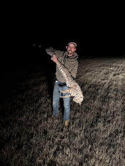 Hunting in Rising Star, Texas