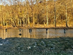 Fishing in Broken Bow, Oklahoma