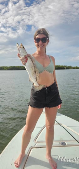 Fishing in Naples, Florida