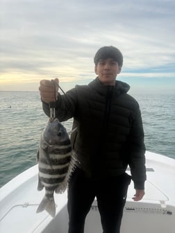 Fishing in Largo, Florida
