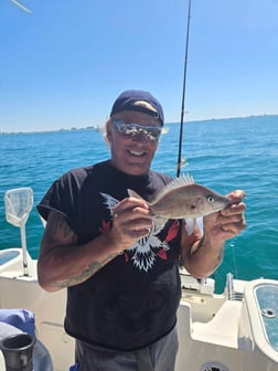 Fishing in Sarasota, Florida