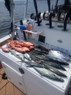 Fishing in Gulf Breeze, Florida