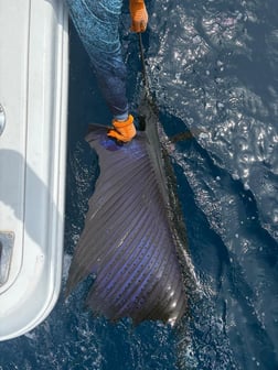 Fishing in Quepos, Costa Rica