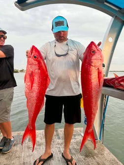 Fishing in Placida, Florida