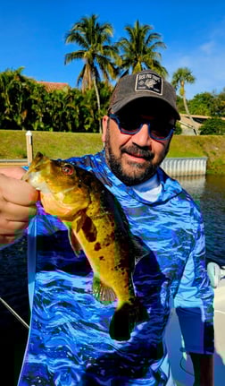 Fishing in Delray Beach, Florida
