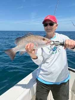 Fishing in Tarpon Springs, Florida