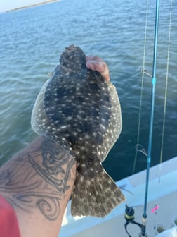 Fishing in South Padre Island, Texas