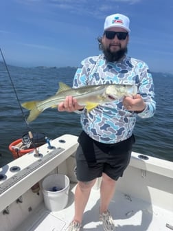 Fishing in Bradenton, Florida