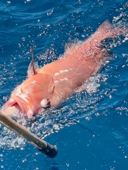 Fishing in Destin, Florida