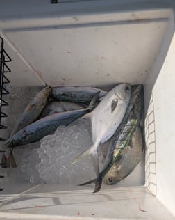 Fishing in Seminole, Florida