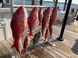 Fishing in Panama City, Florida