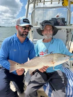 Fishing in Sarasota, Florida