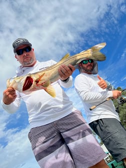 Tarpon Fishing in Holmes Beach, Florida