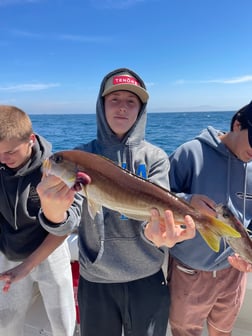 Fishing in Long Beach, California