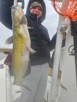 Fishing in Kingston, Oklahoma