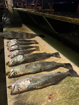 Fishing in Aransas Pass, Texas