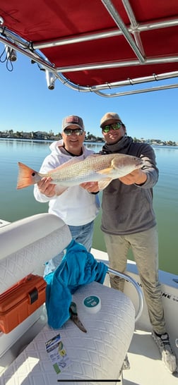 Fishing in Indian Rocks Beach, Florida