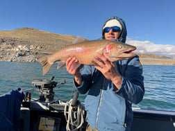 Fishing in Reno, Nevada