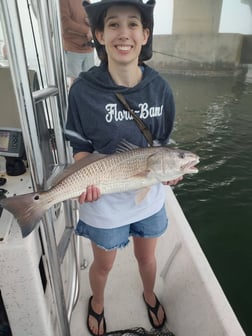 Fishing in Orange Beach, Alabama