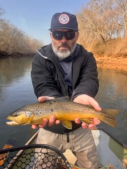 Fishing in Roswell, Georgia