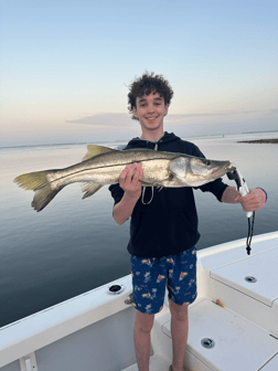 Fishing in Sarasota, Florida