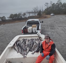 Channel Catfish Fishing in Frisco, North Carolina