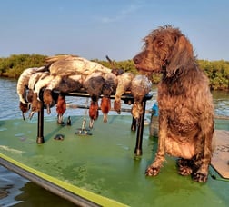 Hunting in South Padre Island, Texas