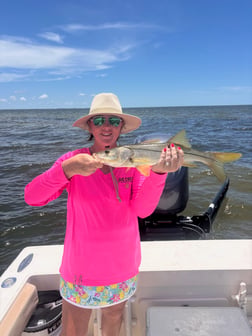 Fishing in Punta Gorda, Florida