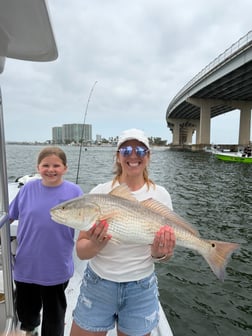 Fishing in Orange Beach, Alabama