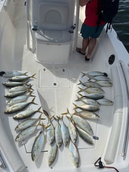 Fishing in Key Largo, Florida