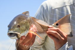 Fishing in Apalachicola, Florida