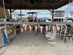 Fishing in South Padre Island, Texas