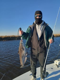 Fishing in Lafitte, Louisiana