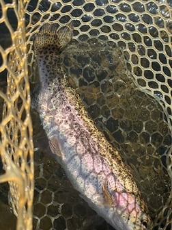 Fishing in Broken Bow, Oklahoma