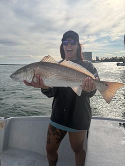 Fishing in Orange Beach, Alabama