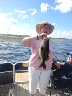 Fishing in Windermere, Florida