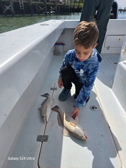 Fishing in St. Petersburg, Florida