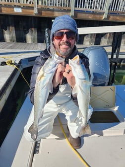 Striped Bass Fishing in Trails End Road, Wilmington, N, North Carolina