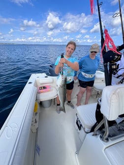 Fishing in Dennis, Massachusetts