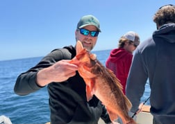Fishing in Dana Point, California