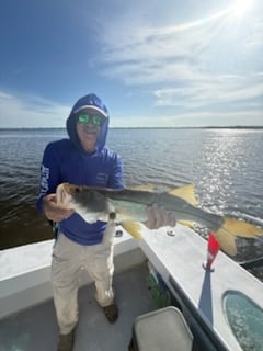Fishing in Holmes Beach, Florida